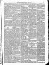 Kildare Observer and Eastern Counties Advertiser Saturday 18 June 1881 Page 3
