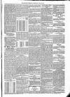 Kildare Observer and Eastern Counties Advertiser Saturday 30 July 1881 Page 5