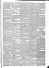 Kildare Observer and Eastern Counties Advertiser Saturday 30 July 1881 Page 7