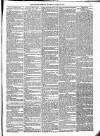 Kildare Observer and Eastern Counties Advertiser Saturday 27 August 1881 Page 7
