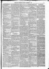 Kildare Observer and Eastern Counties Advertiser Saturday 10 September 1881 Page 7