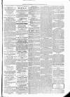 Kildare Observer and Eastern Counties Advertiser Saturday 17 September 1881 Page 5