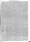 Kildare Observer and Eastern Counties Advertiser Saturday 01 October 1881 Page 7