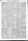 Kildare Observer and Eastern Counties Advertiser Saturday 07 January 1882 Page 3
