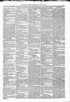 Kildare Observer and Eastern Counties Advertiser Saturday 21 January 1882 Page 3