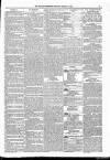 Kildare Observer and Eastern Counties Advertiser Saturday 18 March 1882 Page 7