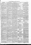 Kildare Observer and Eastern Counties Advertiser Saturday 25 March 1882 Page 7