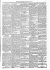 Kildare Observer and Eastern Counties Advertiser Saturday 22 July 1882 Page 5