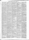 Kildare Observer and Eastern Counties Advertiser Saturday 04 November 1882 Page 3