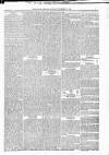 Kildare Observer and Eastern Counties Advertiser Saturday 18 November 1882 Page 7