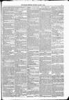 Kildare Observer and Eastern Counties Advertiser Saturday 17 March 1883 Page 3