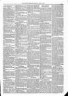 Kildare Observer and Eastern Counties Advertiser Saturday 14 April 1883 Page 3