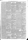Kildare Observer and Eastern Counties Advertiser Saturday 21 April 1883 Page 3