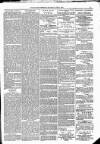 Kildare Observer and Eastern Counties Advertiser Saturday 02 June 1883 Page 7