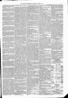 Kildare Observer and Eastern Counties Advertiser Saturday 09 June 1883 Page 5