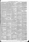 Kildare Observer and Eastern Counties Advertiser Saturday 23 June 1883 Page 3