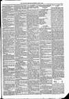 Kildare Observer and Eastern Counties Advertiser Saturday 07 July 1883 Page 3