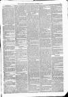 Kildare Observer and Eastern Counties Advertiser Saturday 24 November 1883 Page 3