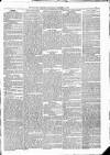 Kildare Observer and Eastern Counties Advertiser Saturday 24 November 1883 Page 7