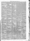 Kildare Observer and Eastern Counties Advertiser Saturday 15 March 1884 Page 3