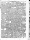 Kildare Observer and Eastern Counties Advertiser Saturday 07 June 1884 Page 5