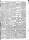 Kildare Observer and Eastern Counties Advertiser Saturday 31 January 1885 Page 5