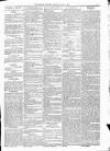 Kildare Observer and Eastern Counties Advertiser Saturday 16 May 1885 Page 5