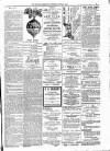 Kildare Observer and Eastern Counties Advertiser Saturday 13 June 1885 Page 7