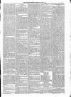 Kildare Observer and Eastern Counties Advertiser Saturday 20 June 1885 Page 3