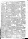 Kildare Observer and Eastern Counties Advertiser Saturday 04 July 1885 Page 5