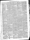 Kildare Observer and Eastern Counties Advertiser Saturday 06 March 1886 Page 3
