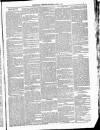 Kildare Observer and Eastern Counties Advertiser Saturday 03 April 1886 Page 3