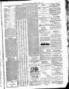 Kildare Observer and Eastern Counties Advertiser Saturday 03 April 1886 Page 7