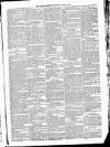 Kildare Observer and Eastern Counties Advertiser Saturday 10 April 1886 Page 3