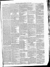Kildare Observer and Eastern Counties Advertiser Saturday 10 April 1886 Page 5