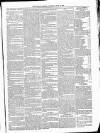 Kildare Observer and Eastern Counties Advertiser Saturday 24 April 1886 Page 5