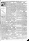 Kildare Observer and Eastern Counties Advertiser Saturday 22 January 1887 Page 5