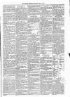 Kildare Observer and Eastern Counties Advertiser Saturday 21 May 1887 Page 5
