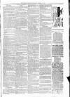 Kildare Observer and Eastern Counties Advertiser Saturday 15 October 1887 Page 7