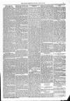 Kildare Observer and Eastern Counties Advertiser Saturday 14 April 1888 Page 3