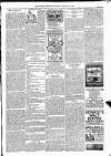 Kildare Observer and Eastern Counties Advertiser Saturday 19 January 1889 Page 7