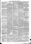 Kildare Observer and Eastern Counties Advertiser Saturday 09 February 1889 Page 5
