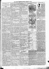 Kildare Observer and Eastern Counties Advertiser Saturday 09 February 1889 Page 7