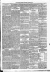 Kildare Observer and Eastern Counties Advertiser Saturday 02 March 1889 Page 6
