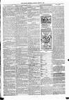 Kildare Observer and Eastern Counties Advertiser Saturday 09 March 1889 Page 7
