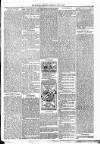 Kildare Observer and Eastern Counties Advertiser Saturday 01 June 1889 Page 7