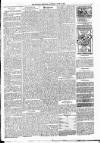 Kildare Observer and Eastern Counties Advertiser Saturday 15 June 1889 Page 7
