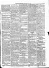 Kildare Observer and Eastern Counties Advertiser Saturday 06 July 1889 Page 5