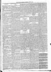 Kildare Observer and Eastern Counties Advertiser Saturday 27 July 1889 Page 7