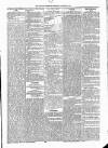 Kildare Observer and Eastern Counties Advertiser Saturday 29 March 1890 Page 3